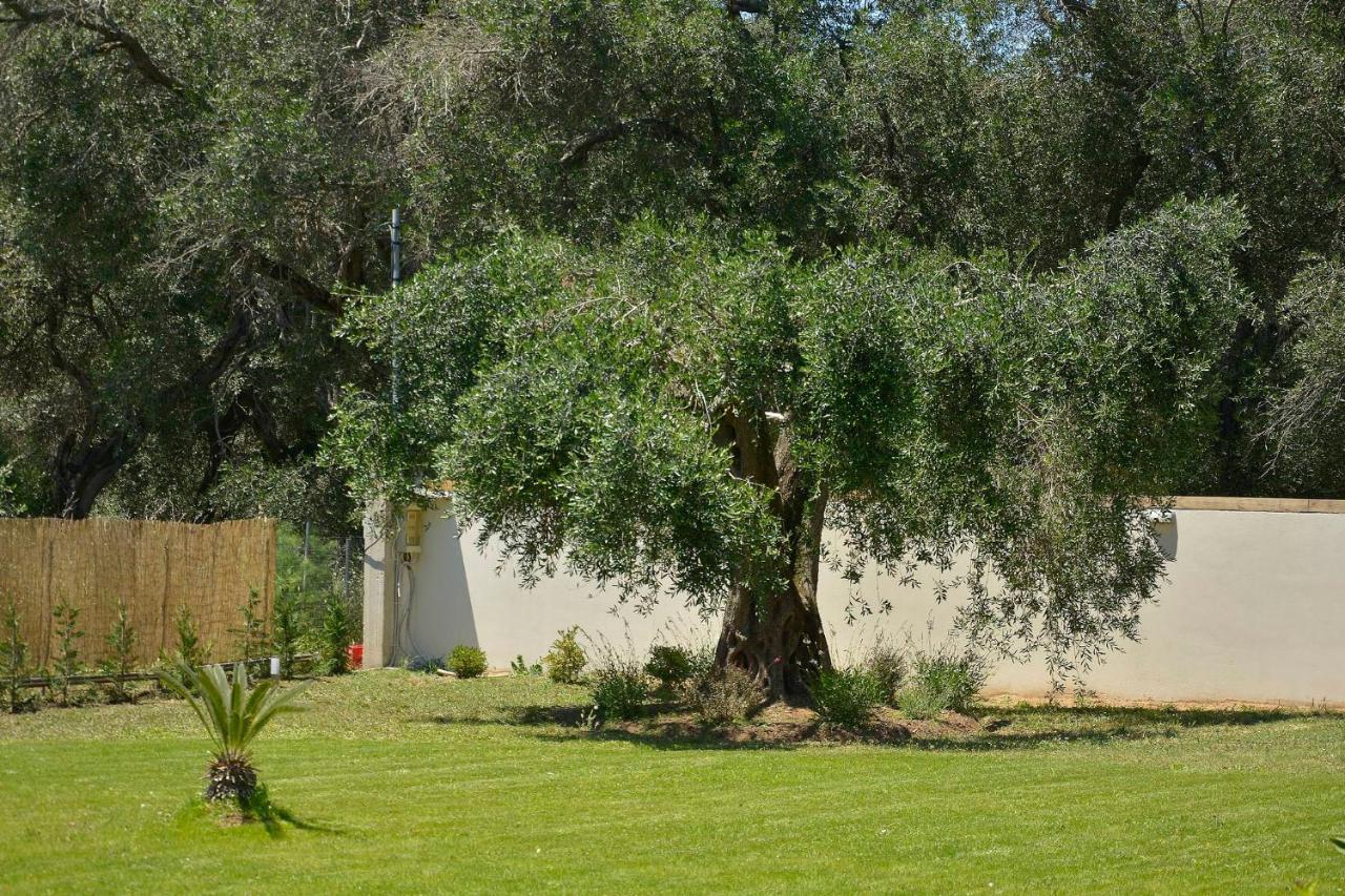 La Casa Del Sole Villa CChalikounas Buitenkant foto